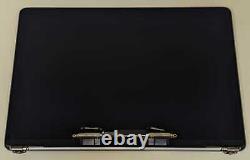 A2251 13 Complete Screen Assembly LCD Space Gray