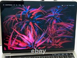 Apple MacBook Pro 13 2018 2019 A1989 661-10037 LCD Display Gray read