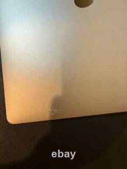 Genuine Apple LCD Screen Assembly 16 MacBook Pro A2141 2019 Gray