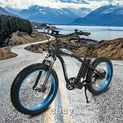 Hammer Electric Fat Bike withUSB Beach Snow Bicycle E-bike 48V 750W Grey/Blue UL