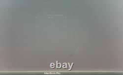 LCD for Apple MacBook Pro 15 A1990 DISPLAY 2018 2019 SPACE GRAY GRADE B+