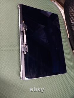 Macbook Pro 13 A1989 2018 2019 LCD Display Assembly Gray NICE WORKING