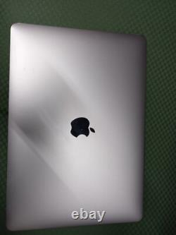 Macbook Pro 13 A1989 2018 2019 LCD Display Assembly Gray NICE WORKING