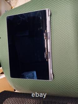 Macbook Pro 13 A1989 2018 2019 LCD Display Assembly Gray NICE WORKING