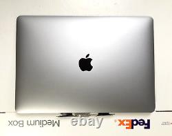 Macbook Pro 13 A2159 A2289 A2251 A1989 LCD Display Gray 661-15732 A+