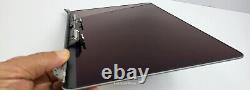 Macbook Pro 13 A2159 A2289 A2251 A1989 LCD Display Gray 661-15732 A-? #322