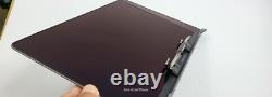 Macbook Pro 13 A2159 A2289 A2251 A1989 LCD Display Gray 661-15732 A-? #322