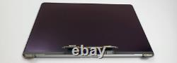 Macbook Pro 13 A2159 A2289 A2251 A1989 LCD Display Gray 661-15732 A-? #322