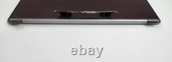 Macbook Pro 13 A2159 A2289 A2251 A1989 LCD Display Gray 661-15732 A-? #322