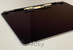 OEM Apple MacBook Pro A1989 2018 13 LCD Screen Display Space Gray Grade C